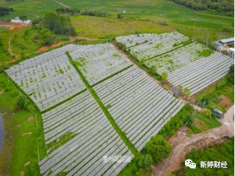 廣東惠州市源茵生態園生態園健康綠色之旅