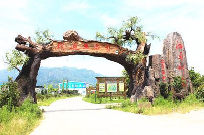生態(tài)園大門_假樹大門設(shè)計原則