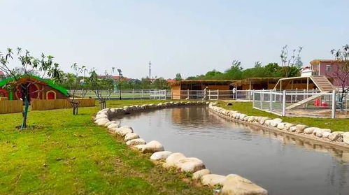 自駕到武漢蔡甸這座生態園 體驗土灶做飯燒菜,還有特色露營區