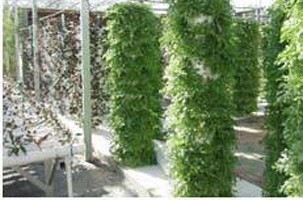 山東專業溫室生態園建設指南 從規劃到落地的全方位解析