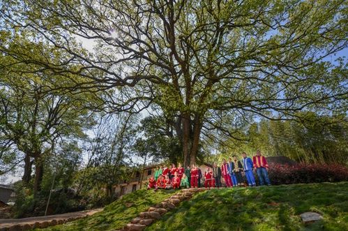 浙江擘畫詩路文化新藍圖 九市聯動，生態為基，打造中華文脈傳承創新帶
