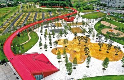 綠網織城，公園筑夢 260座公園星羅棋布，繪就生態(tài)光明新畫卷