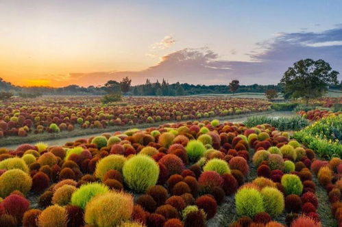 長三角文旅一體化再結碩果 2022年生態(tài)主題專項旅游產品權威發(fā)布