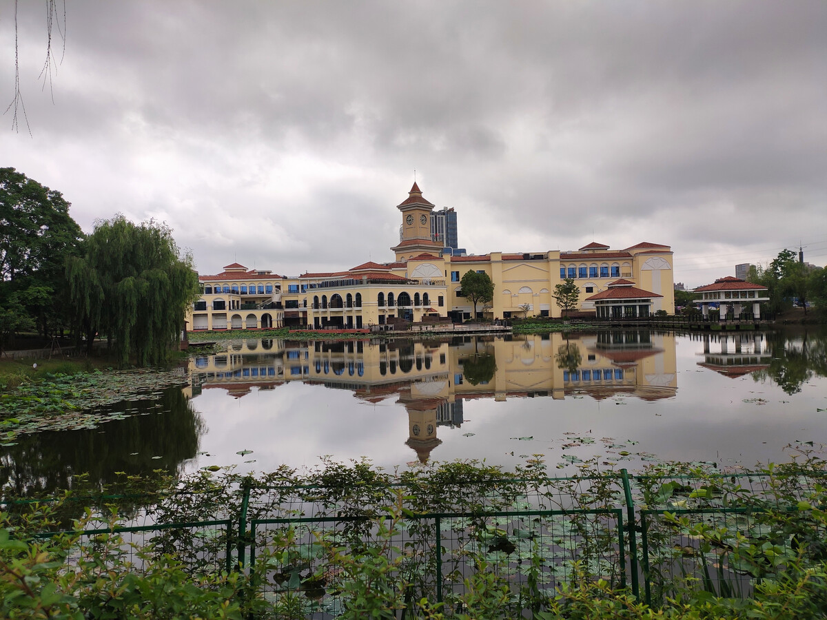 上海奉浦四季生態園隨拍 城市綠肺中的詩意漫步
