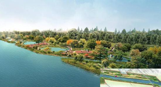 煥新升級！北辰郊野公園變身生態樂園，櫻花園與童趣天地驚艷亮相