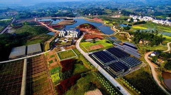 小長假未盡興 江津5月旅游季才剛剛開始 生態園推薦