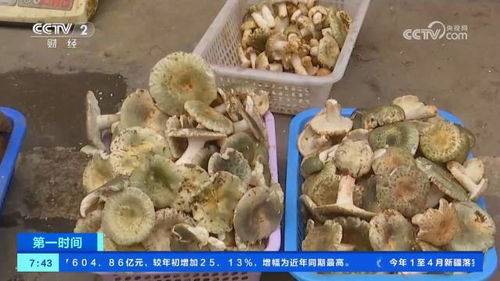 滾動式發(fā)展 肉制品及副產(chǎn)品加工的創(chuàng)新之路