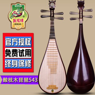 熱銷樂器配件_ 敦煌琵琶543酸枝木如意頭飾白牛角相軫琵琶上海民族樂器送配件